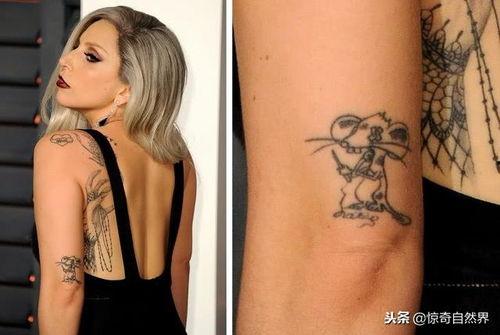 纹身图案明星,探寻纹身图案背后的故事